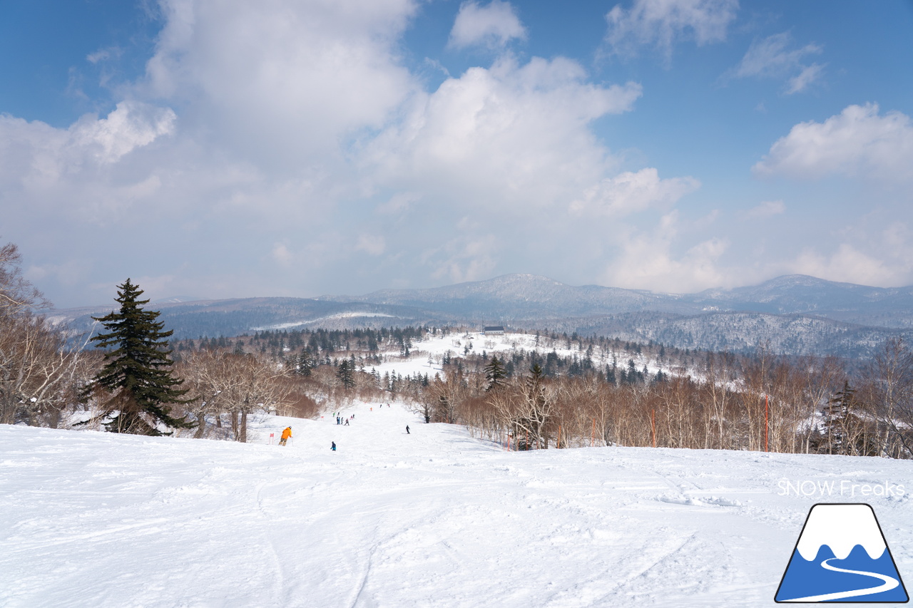 札幌国際スキー場｜さすが『KOKUSAI』！春シーズンも安泰の豊富な積雪で、まだまだ余裕で全面滑走可能です(^^)v